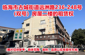 临海市古城街道远洲路236-248号（双号）房屋二楼的租赁权